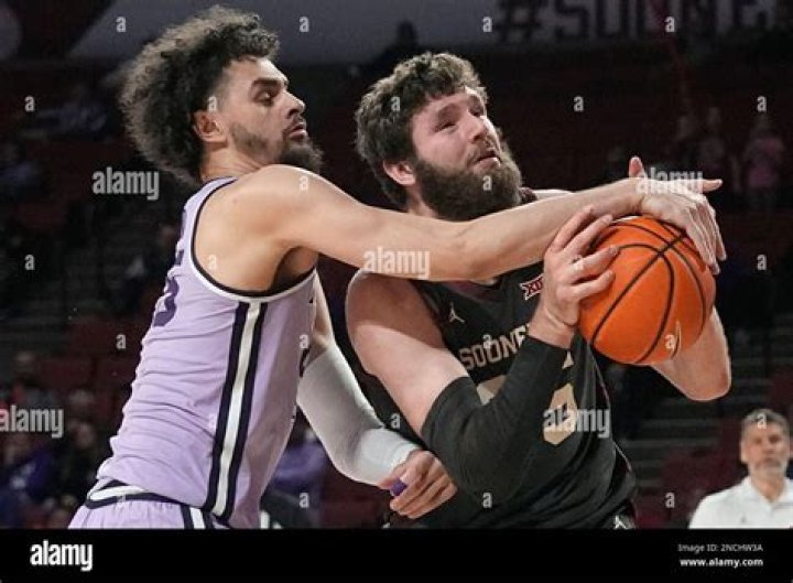
Ismael Massoud Is The Son of Basketball Player Alicia Rodriguez-Barrera and Hany Massoud 